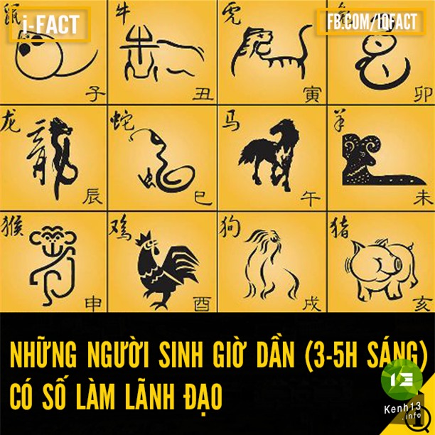 picture_content_30203d79c21f06dba9701e616fe9a561