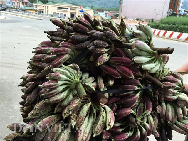 bong "hut hang", chuoi rung len gia 80.000 dong/buong hinh anh 3