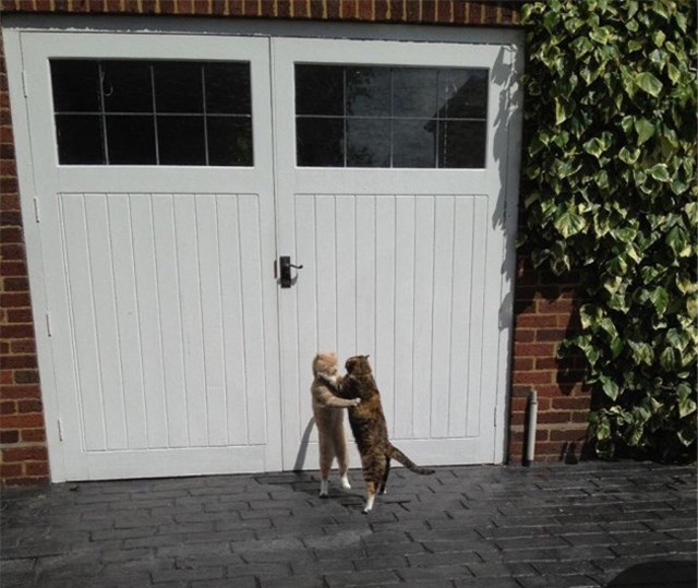 "chop" nhung khoanh khac kho do trong cuoc song hinh anh 13