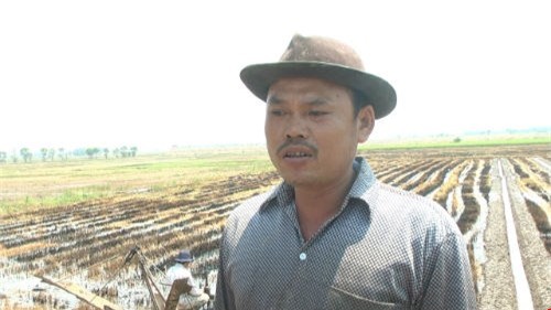 sáng chế, nông dân, nhà nông, Đồng Tháp