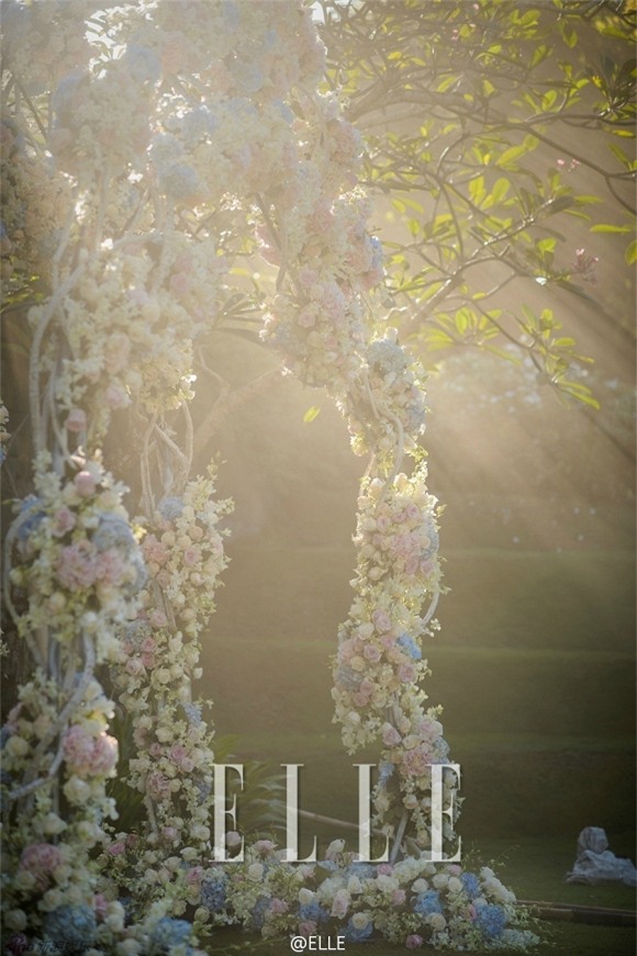 Đám cưới Ngô Kỳ Long và Lưu Thi Thi 4