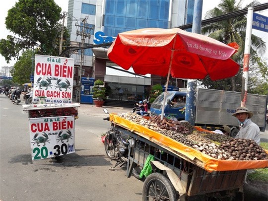 Cua biển Cà Mau bị giả mạo?
