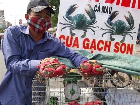 Cua biển Cà Mau bị giả mạo?