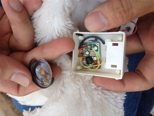 hàng Trung Quốc, hàng Tàu, made in China