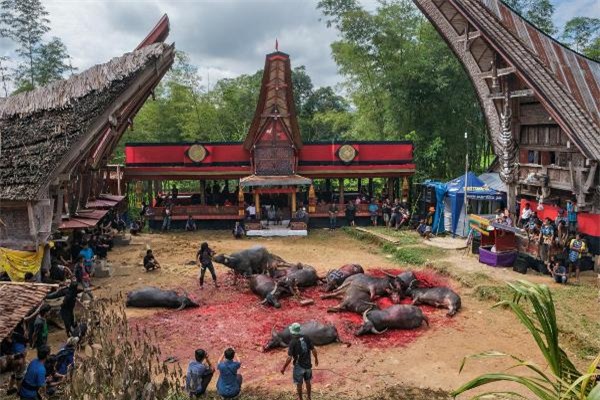 Indonesia: Khi cái chết không phải lời vĩnh biệt - Ảnh 3.