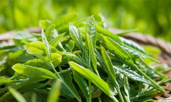 la-tam-thong-dung-cho-be-blogtamsuvn (4)