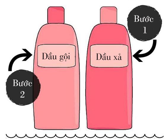 - Ảnh 1.