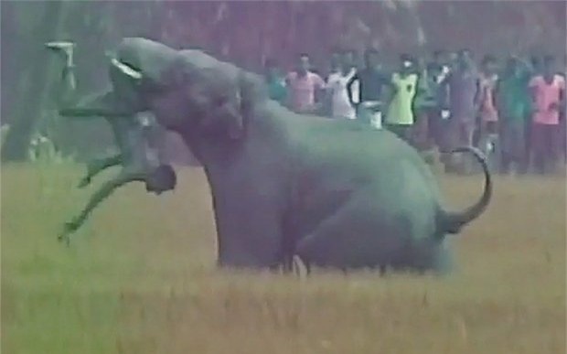 kinh hoang voi dien quat chet 5 nguoi o an do hinh anh 1