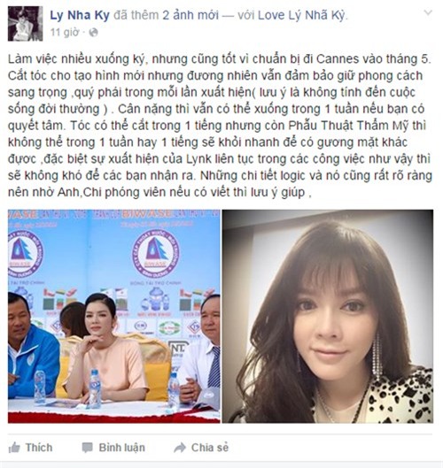 Cựu đại sứ du lịch lên tiếng phản pháo việc bị cho là mới phẫu thuật thẩm mỹ. Ảnh chụp màn hình facebook nhân vật.