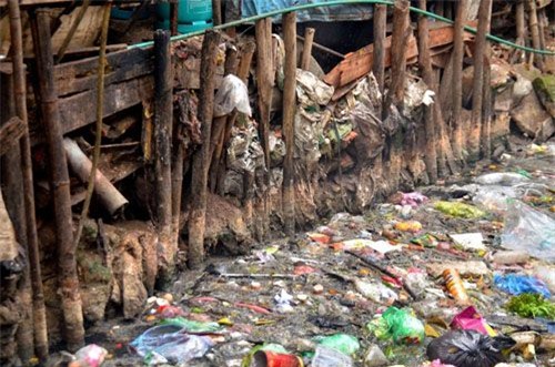 Người Hà Nội “bịt mũi” sống cùng con mương “chết” - 3