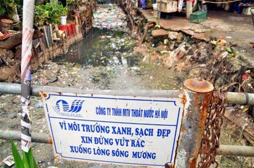 Người Hà Nội “bịt mũi” sống cùng con mương “chết” - 6