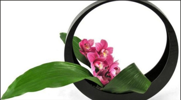 hoa lan