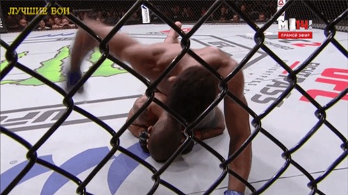 Võ sĩ cầu cứu trọng tài vì sợ đấm chết đối thủ - Ảnh 2.