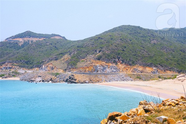 mũi dinh
