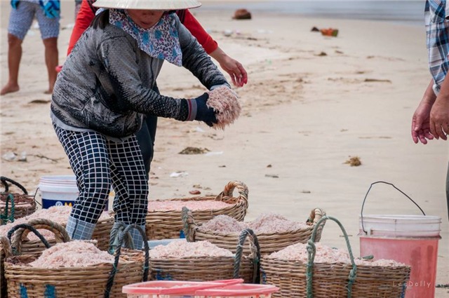 con ruốc, nhuộm ruốc bằng hóa chất, tắm hóa chất cho ruốc, nhuộm đỏ ruốc bằng hóa chất