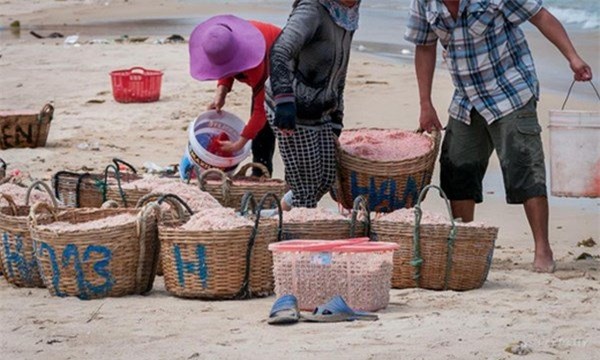 ruốc, ruốc nhuộm hóa chất, phẩm màu, hóa chất công nghiệp, phú yên