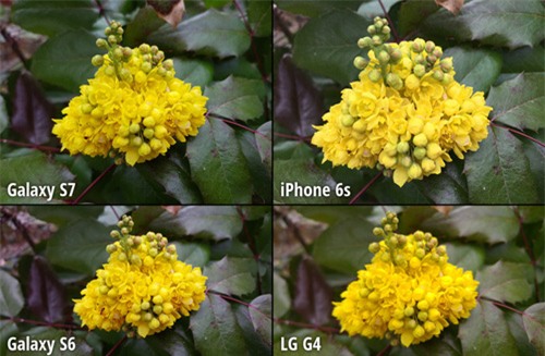 do camera 4 “sieu pham” galaxy s7, iphone 6s, galaxy s6 va lg g4 hinh anh 12