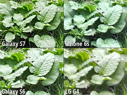 do camera 4 “sieu pham” galaxy s7, iphone 6s, galaxy s6 va lg g4 hinh anh 5