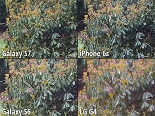 do camera 4 “sieu pham” galaxy s7, iphone 6s, galaxy s6 va lg g4 hinh anh 6