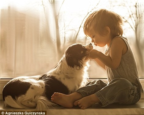 Sốt những bức ảnh siêu dễ thương giữa bé và chó