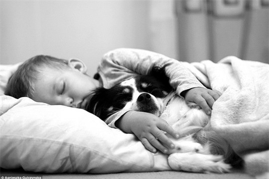 Sốt những bức ảnh siêu dễ thương giữa bé và chó
