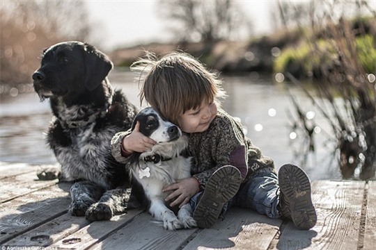 Sốt những bức ảnh siêu dễ thương giữa bé và chó