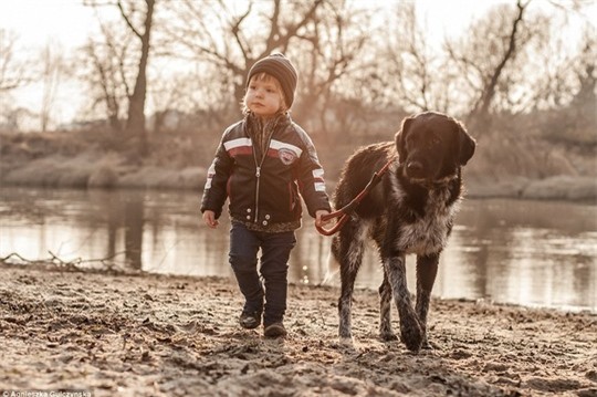 Sốt những bức ảnh siêu dễ thương giữa bé và chó