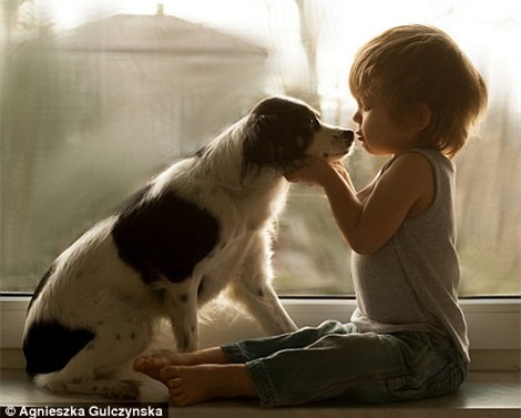 Sốt những bức ảnh siêu dễ thương giữa bé và chó