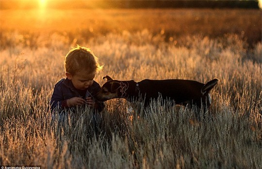 Fiebre de fotos super tiernas entre bebé y perro
