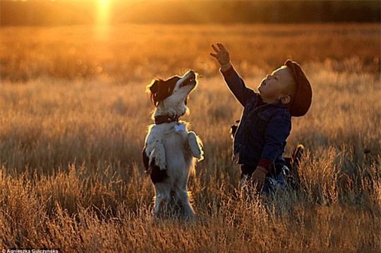 Sốt những bức ảnh siêu dễ thương giữa bé và chó