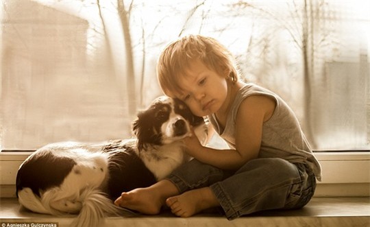 Sốt những bức ảnh siêu dễ thương giữa bé và chó