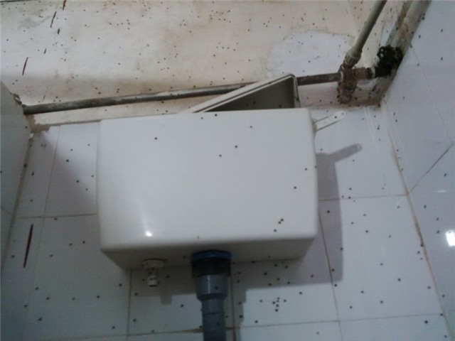 chum anh: ban nhu... nha ve sinh benh vien! hinh anh 7