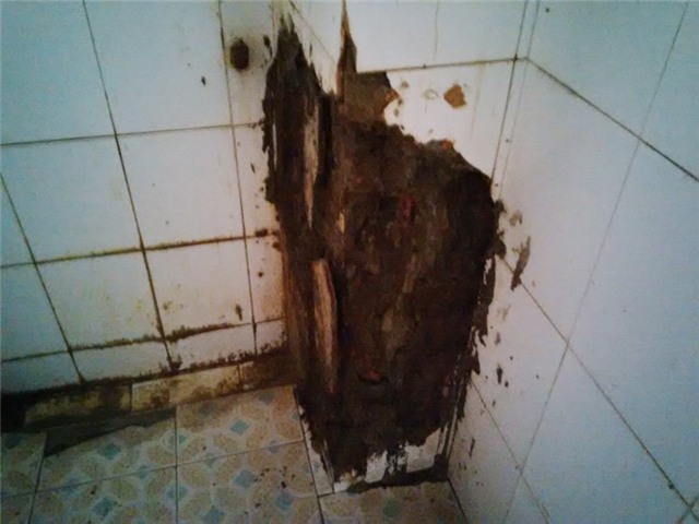 chum anh: ban nhu... nha ve sinh benh vien! hinh anh 8