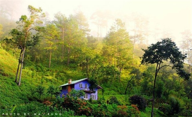 Kinh nghiem du lich Da Lat cho ky nghi hoan hao hinh anh