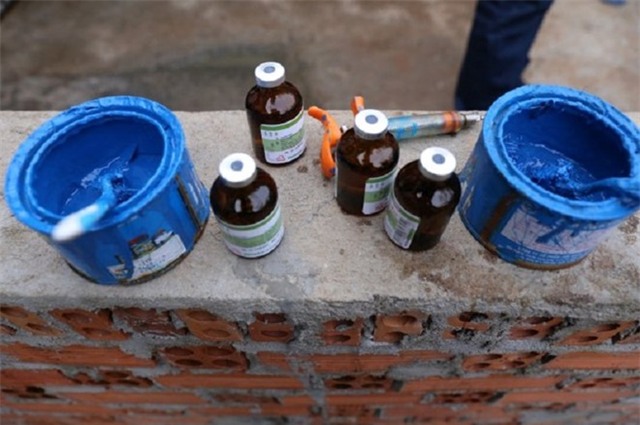 Muc xuong vi an thit lon tiem thuoc an than hinh anh