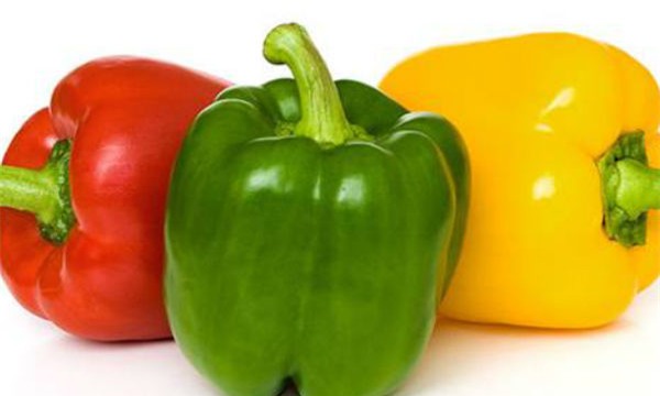 ot chuong blogtamsuvn