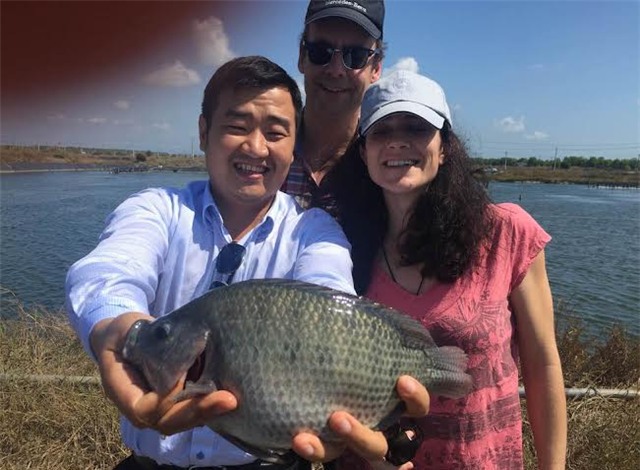 Trương Gia Bình, khởi nghiệp, tiến sĩ giấy