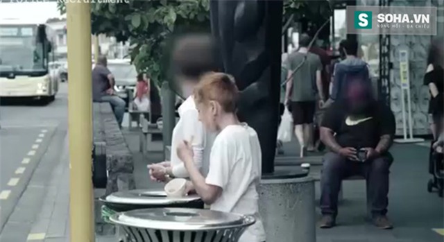 Đặt camera ẩn, cảnh sát New Zealand thu được kết quả