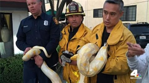 Khach tha tran khong lo vao nha hang vi bi chat chem