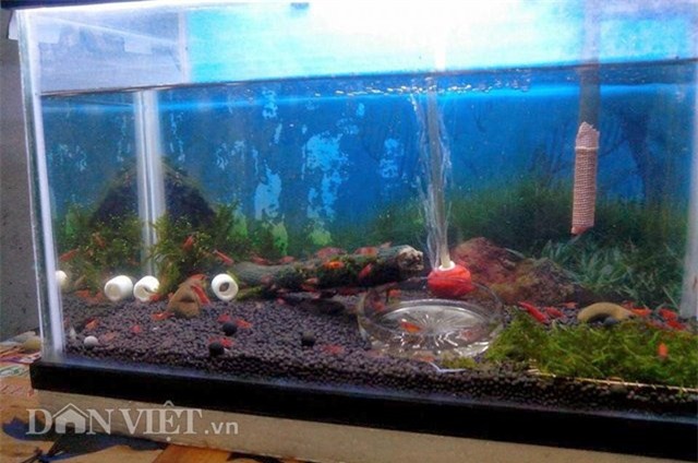 dan thu do dung “vu nu 7 mau” de... mat xa hinh anh 9