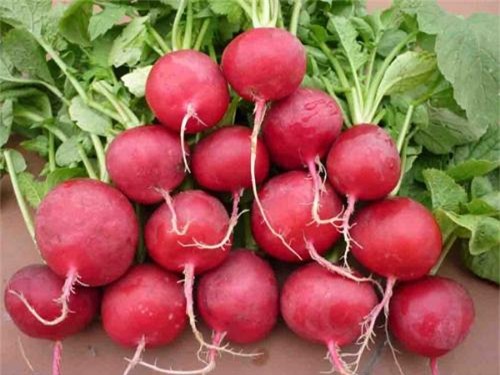 giai-doc-bang-cach-an-nhieu-hon-nhung-thuc-pham-nay2_8115906