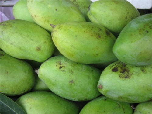 xoài campuchia, dân việt chuộng mua, dân buôn trúng đậm, thu lãi tiền triệu, xoài Việt Nam