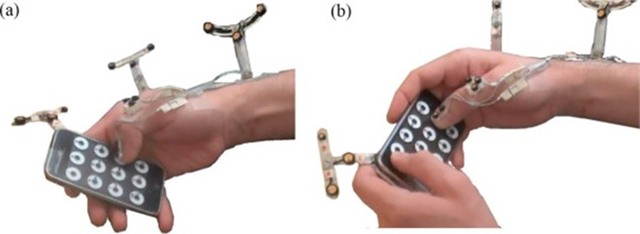 Ty le vang cua Steve Jobs van chinh xac? hinh anh 3