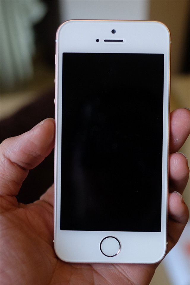 Mặt trước tương tự như iPhone 5S