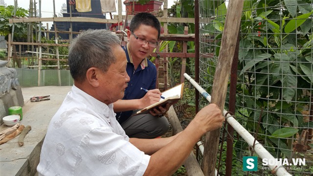 Ngày nào cũng tỉ mẩn làm việc, sau 3 năm ông Thiệp đã tặng người vợ quá cố cả một vườn yêu với đủ loại cây trái, cỏ hoa.