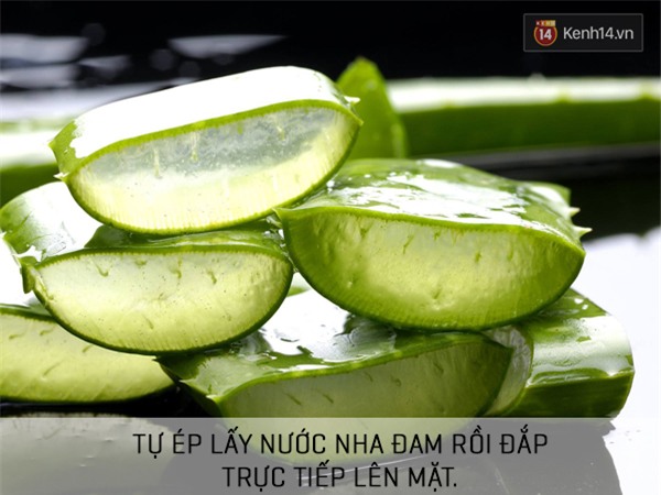 Tránh ngay 5 sai lầm khi dùng nha đam dưỡng da nếu không muốn “gặp họa” - Ảnh 2.