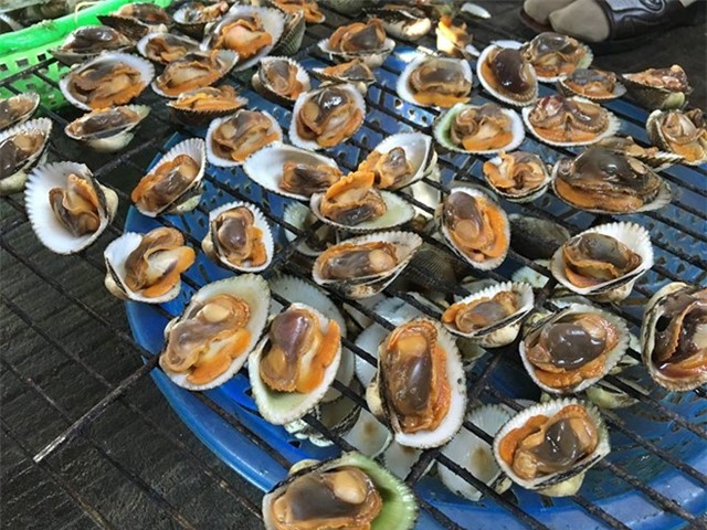 Du lich Phan Rang va nhung trai nghiem tuyet voi hinh anh 2