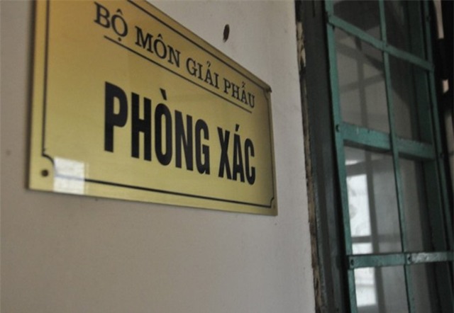 Can canh phong xac cua Dai hoc Y Ha Noi hinh anh 1