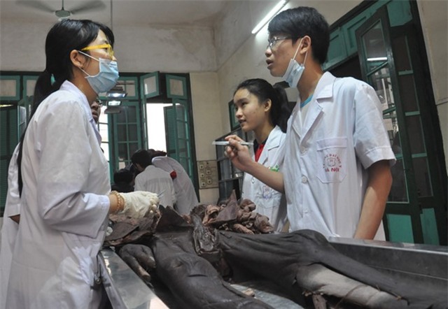 Can canh phong xac cua Dai hoc Y Ha Noi hinh anh 11