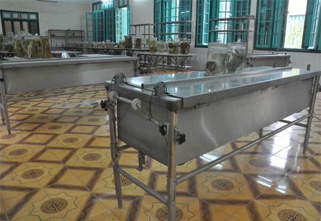 Can canh phong xac cua Dai hoc Y Ha Noi hinh anh 2